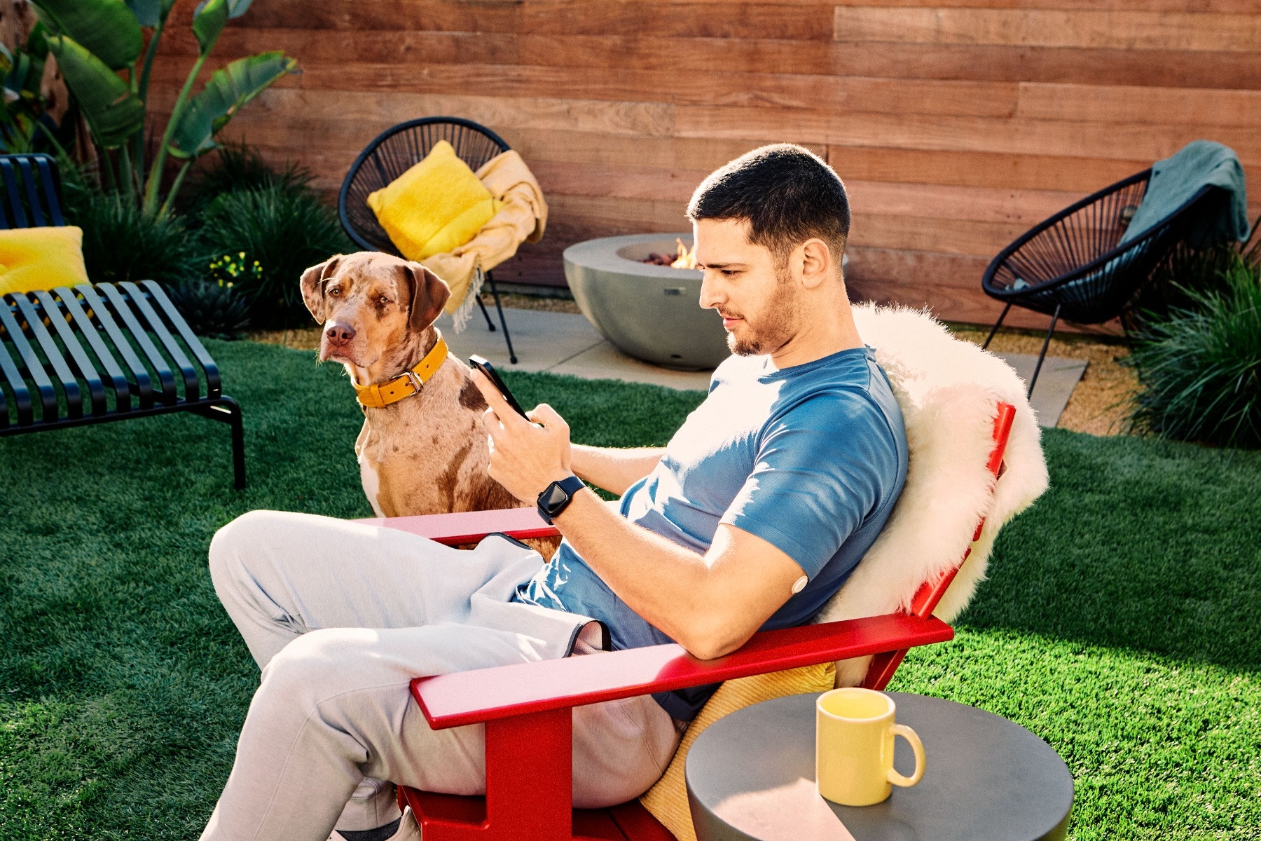 Abbott FreeStyle Libre System