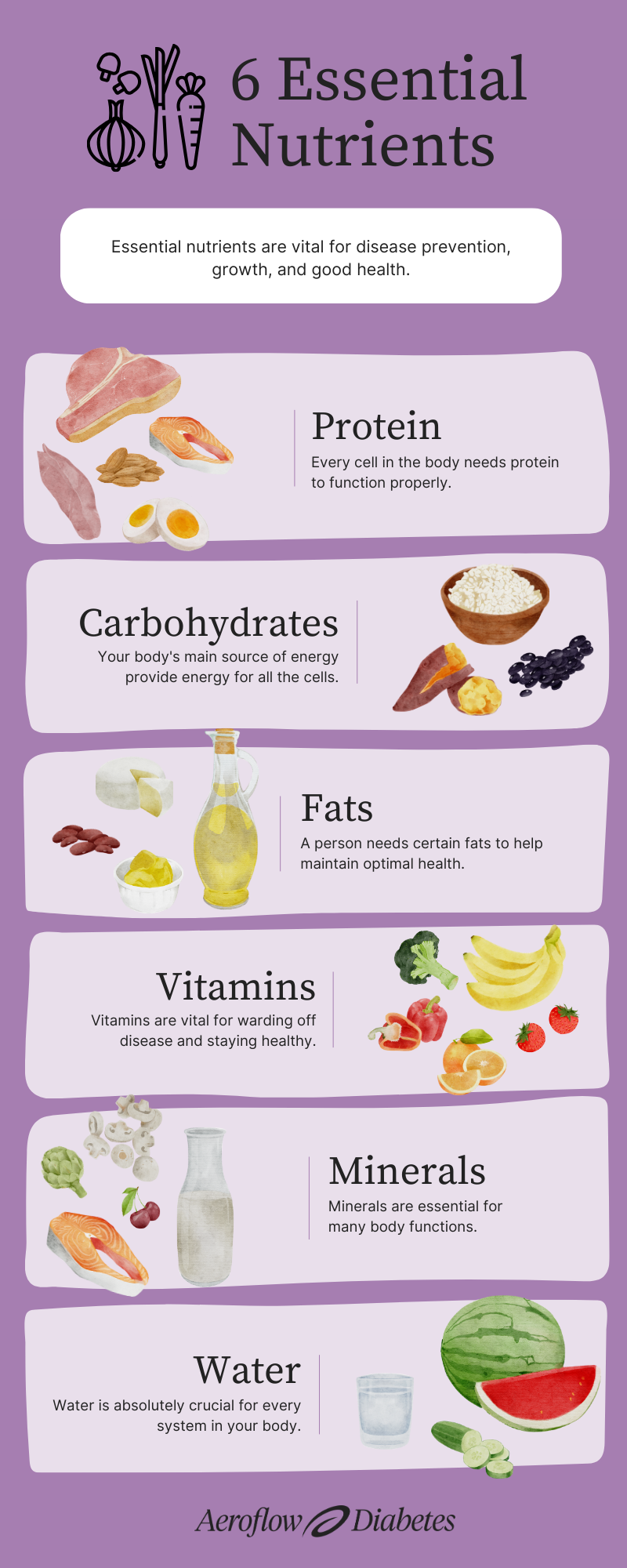6 Essential Nutrients